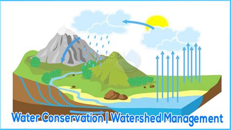 Water Conservation: Role of Watershed Management | Netsol Water