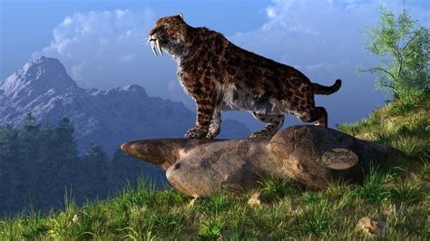 Smilodon - Alchetron, The Free Social Encyclopedia