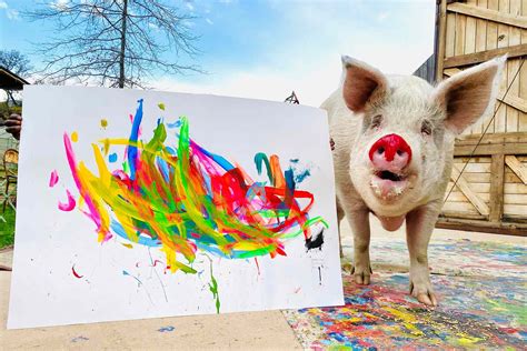 This Farm Animal Sanctuary Is Also a Hotel — and Its Pet 'Pigcasso' Is ...