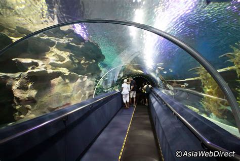 Aquaria KLCC located on the concourse level of the Kuala Lumpur Convention Centre, the 5000sqft ...