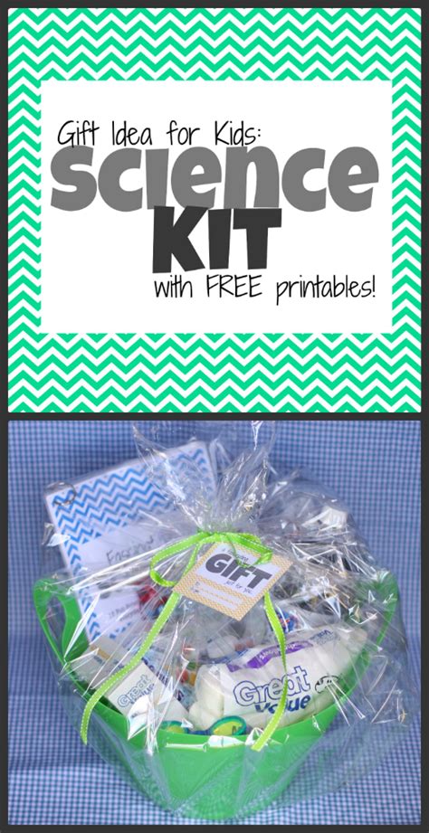 Gift Idea: Science Kit for Kids (with free printables) - I Can Teach My ...