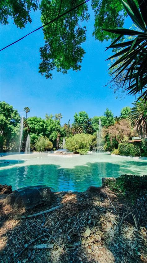 4 Parks in Mexico City to visit after the lock-down