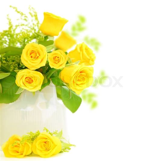 Fresh yellow roses border isolated on ... | Stock image | Colourbox