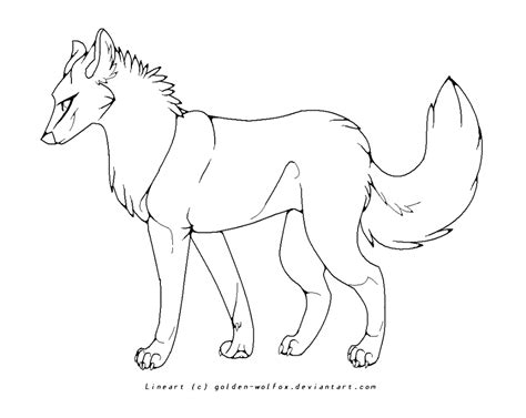 wolf lineart by golden-wolfox on DeviantArt