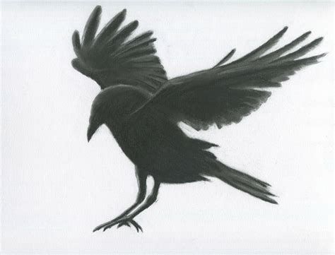 Flying Crow Drawing at PaintingValley.com | Explore collection of ...