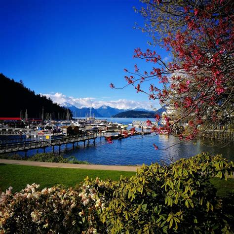 Tofino, Vancouver Island - A Stunning Part Of British Columbia - Destinatio