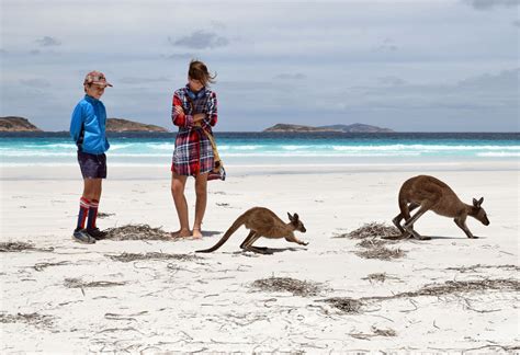 Lucky Bay Beach Kanagroos – This Travel Life