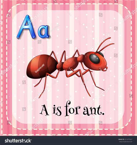 Flashcard Ant Illustration Stock Vector (Royalty Free) 311477027 | Shutterstock