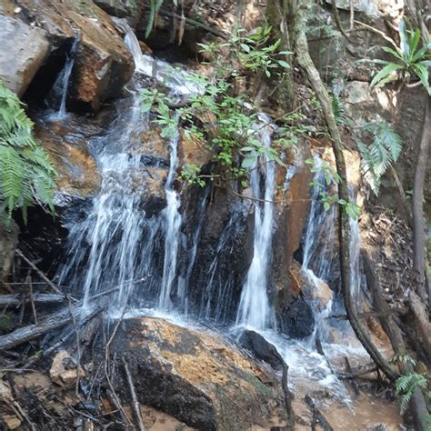 Magoebaskloof Getaway Hiking Trail – Norflex Adventure Guide