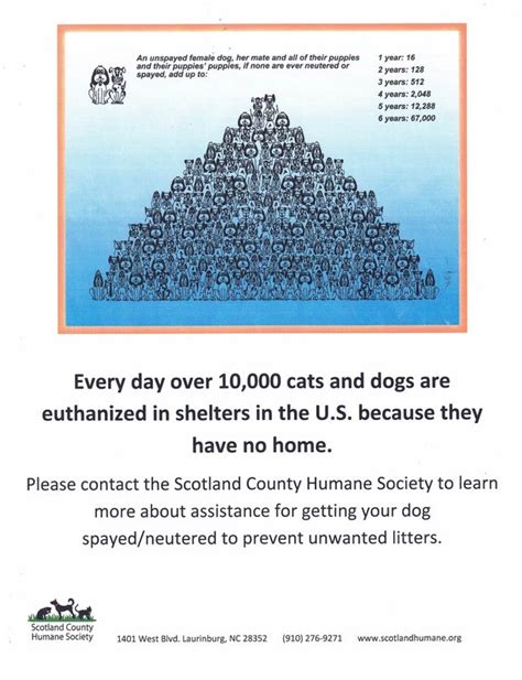 Spay/Neuter Program