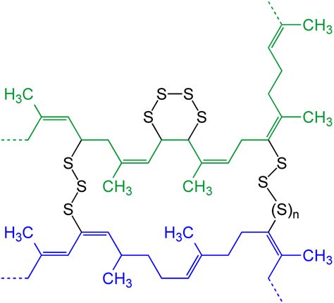 physical chemistry - What elastic polymeric material look like at ...