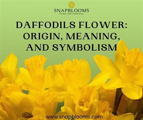 Daffodil Flower In Telugu Meaning | Best Flower Site