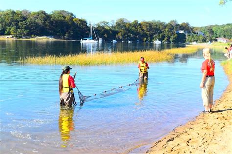 A Day In The Life On The Nissequogue River - Long Island Media Group