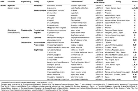 Cetacean species included in this study. | Download Table