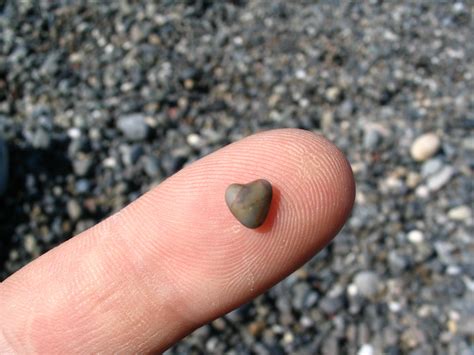 Heart-Shaped Rock by speedyfearless on DeviantArt