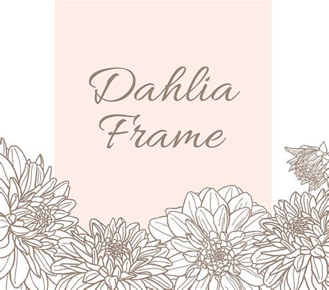 Royalty Free White Dahlia Clip Art, Vector Images & Illustrations - iStock