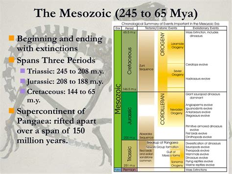 Mesozoic Era Chart