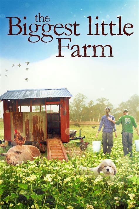 The Biggest Little Farm subtitles English | opensubtitles.com