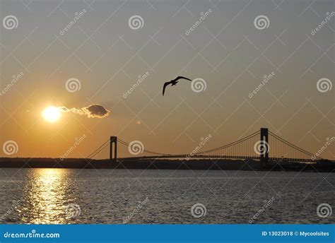 Sunset By The Bridge stock photo. Image of beautiful - 13023018