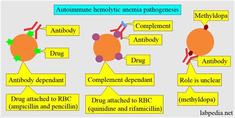 Anemia:- Part 8 - Hemolytic Anemias Classification, Lab Diagnosis ...