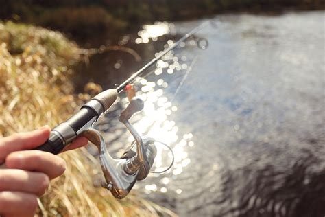 Best Ultralight Spinning Reels In 2021 - Fishermen's Angle