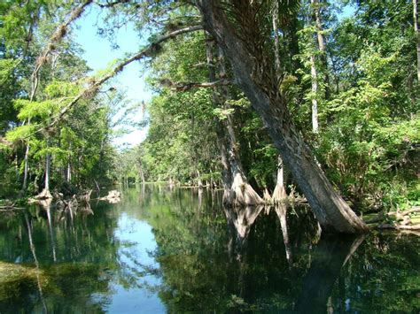 National Forests in Florida - National Forest Foundation