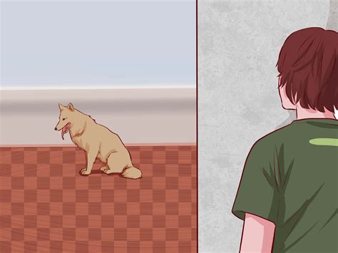 How to Train a Dog to Stay (with Pictures) - wikiHow