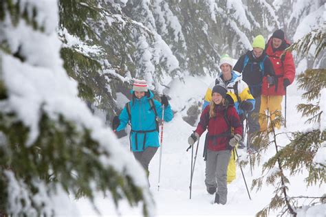 Winter Activities in Vancouver | Tourism Vancouver