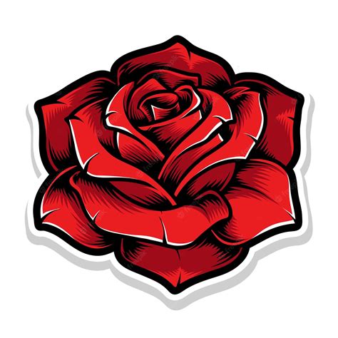 Rose Vector Illustration