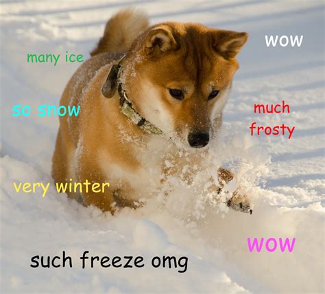 File:Doge meme example.jpg - Wikimedia Commons