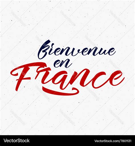 Bienvenue en France label 2016 Soccer emblem Vector Image