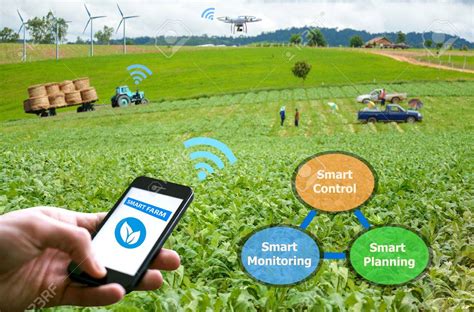 Automation in Agriculture: 5 innovative ways to use IoT in Agriculture