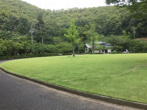 THE 15 BEST Things to Do in Gifu - 2022 (with Photos) - Tripadvisor