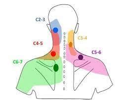 Left Shoulder Blade Pain: Causes & Treatments | CSC