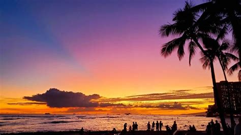 Free Waikiki hula show is the Kuhio Beach hula show! 🌴 Free things to ...