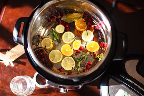 Instant Pot Simmering Holiday POTPOURRI Recipe – FOOD is Four Letter Word