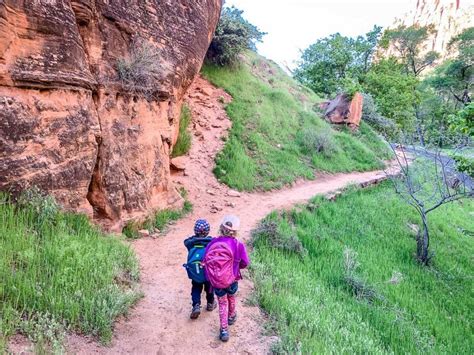 The Grotto Trail in Zion National Park - Family Can Travel