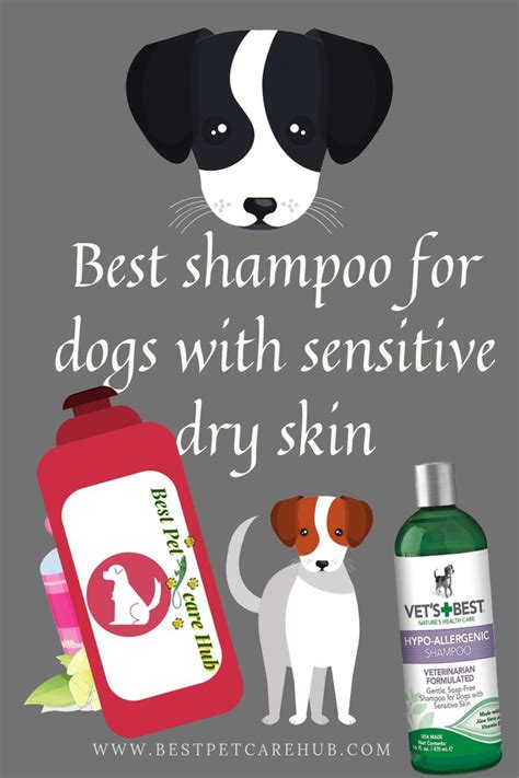 Best shampoo for dogs with sensitive dry skin | Dry sensitive skin, Dog ...