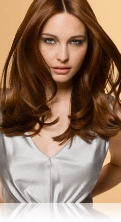 John Frieda Light Amber Brown color | Amber hair colors, Amber hair ...