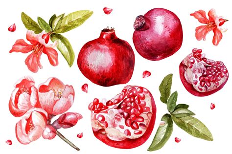 Beautiful watercolor pomegranates | Watercolor paintings for beginners ...