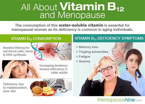 All About Vitamin B12 and Menopause | Menopause Now