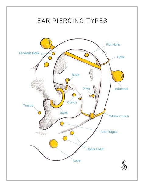 Diagram Of Ear Piercing Placements