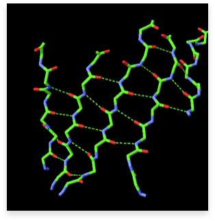 Protein Secondary Structure, Alpha Helices, Beta Sheets, Hairpins And Loops