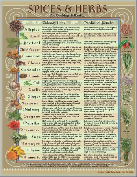 Downloadable: Healing Herbs/Spices Kitchen Chart by AmalgamArts