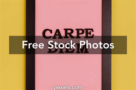 Carpe Diem Photos, Download The BEST Free Carpe Diem Stock Photos & HD Images