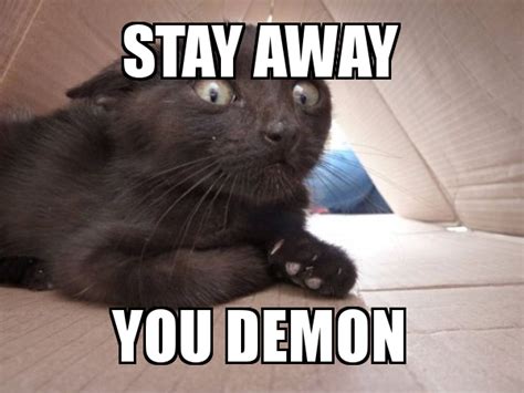 stay away you DEMON - Schitzo Cat | Make a Meme