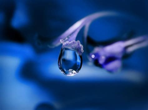 Macro Water Drops Photo Contest Winners - VIEWBUG.com