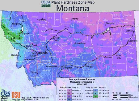 Map Of USDA Plant Growing Zones In Montana