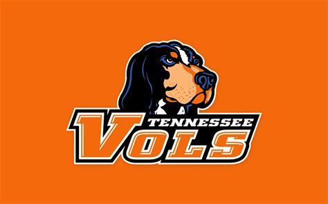 tennessee vols - Google Search | Tennessee volunteers, Tennessee volunteers football, Tennessee ...