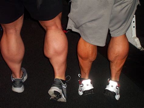 Anatomy Of The Calf Muscle - CoreWalking